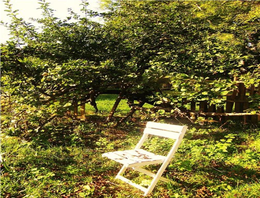 Le Moulin Fleuri Du Petit Appeville Экстерьер фото