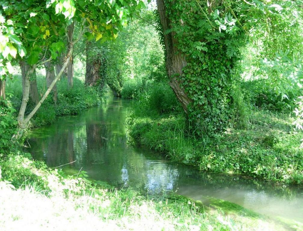 Le Moulin Fleuri Du Petit Appeville Экстерьер фото