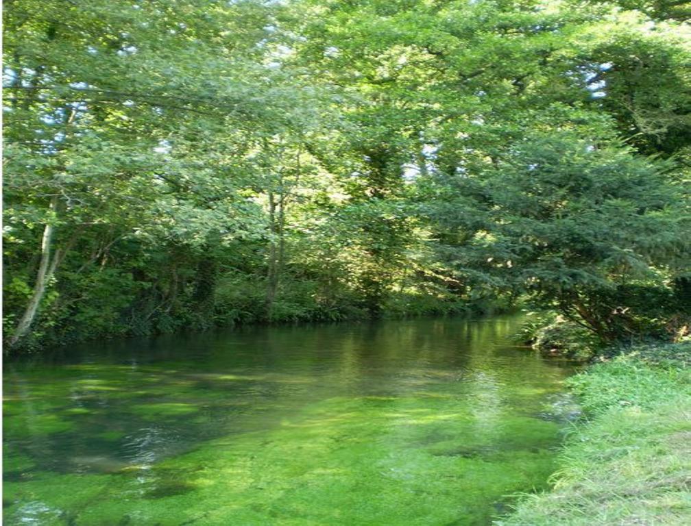Le Moulin Fleuri Du Petit Appeville Экстерьер фото